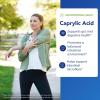 Pure Encapsulations Caprylic Acid | Supplement for Gut and Digestive Health, GI Balance, Gastrointestinal Support, and Intestinal Health* | 240 Capsules(240 Count (Pack of 1))