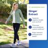 Pure Encapsulations Ginger Extract | Supplement to Support the Digestive, Musculoskeletal, and Cardiovascular Systems* | 120 Capsules(120 Count (Pack of 1))