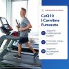 Pure Encapsulations CoQ10 l-Carnitine Fumarate | Ultra-Charged Cardiovascular Support | 120 Capsules(120 Count (Pack of 1))